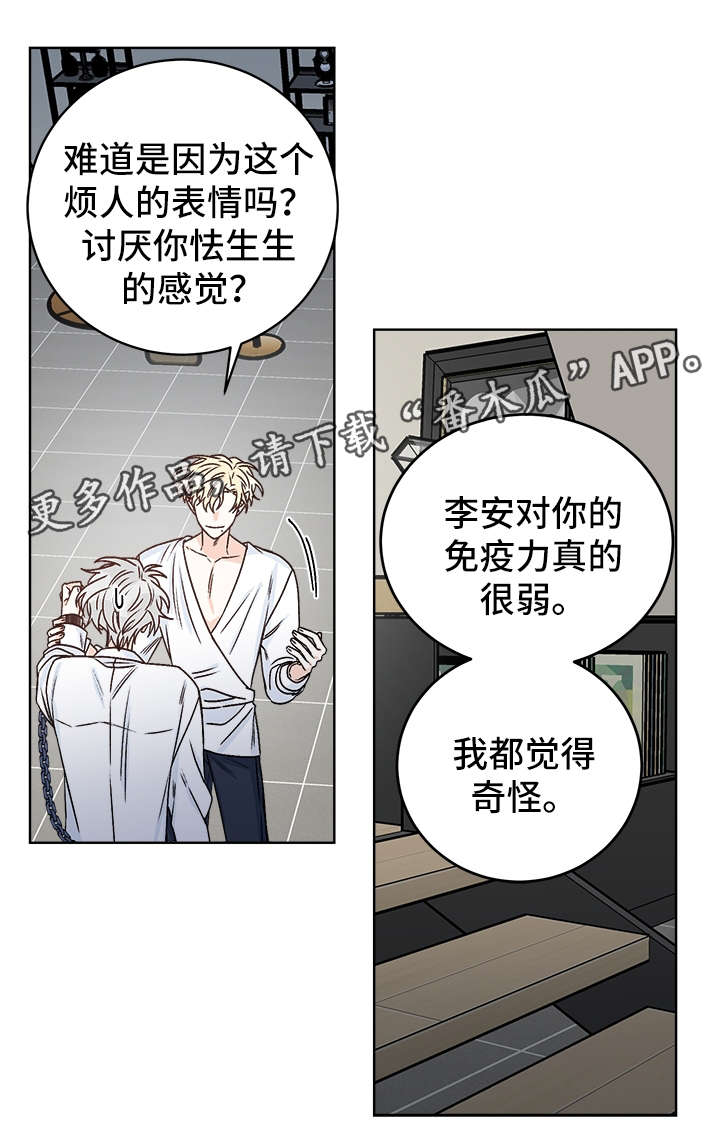 龙的刻印 第38话 第2页