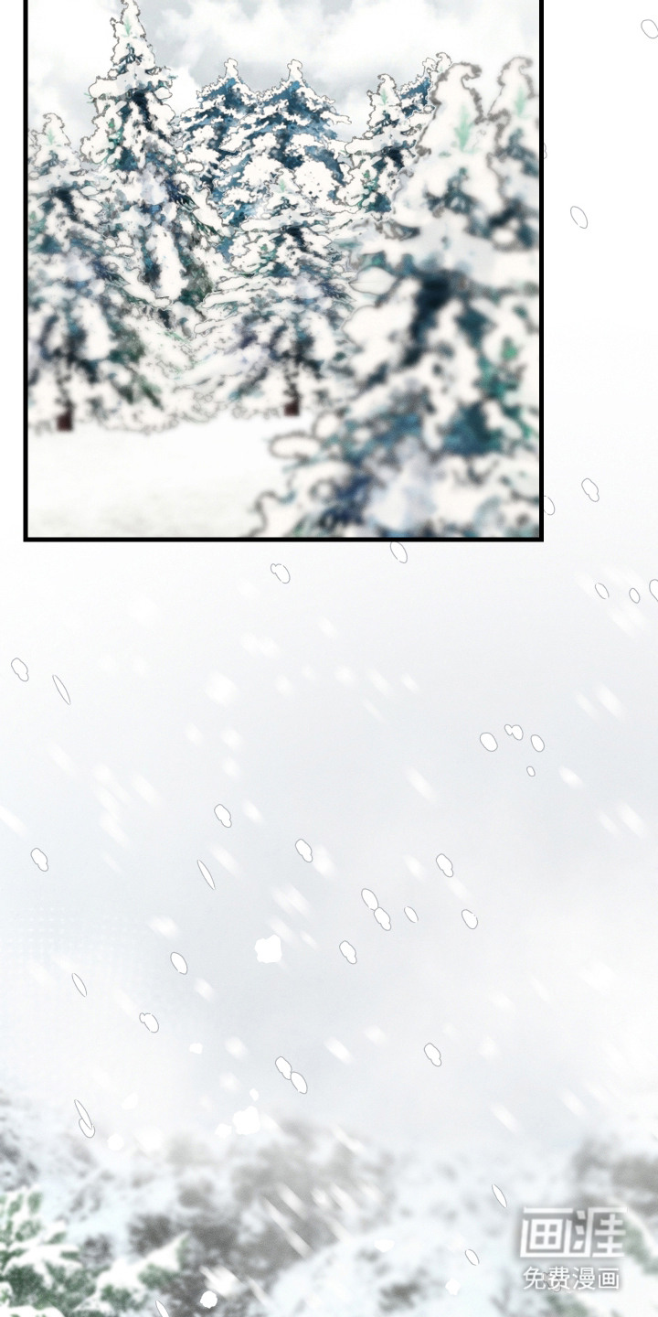 花落人未散 第1章：雪地 第11页