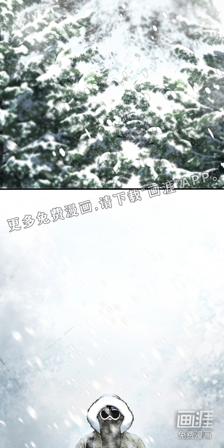 花落人未散 第1章：雪地 第12页