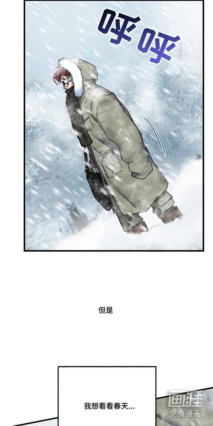 花落人未散 第1章：雪地 第19页