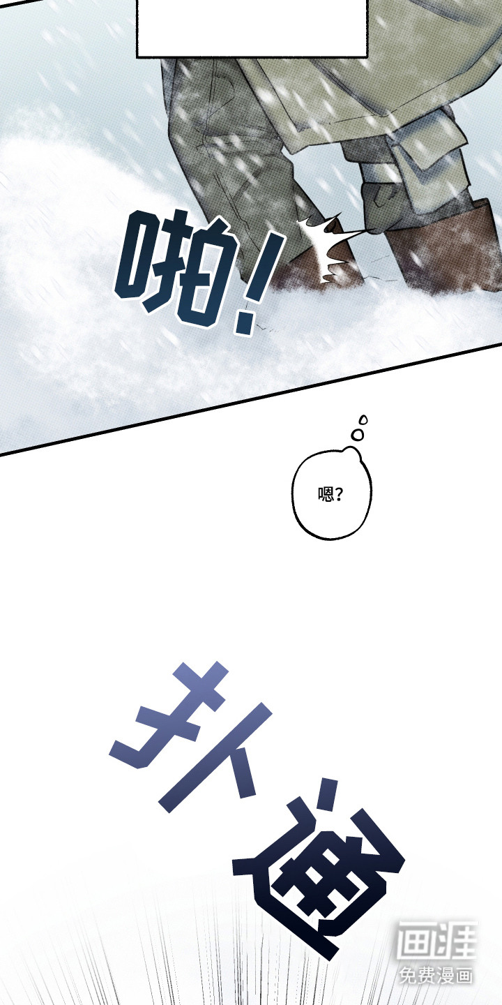 花落人未散 第1章：雪地 第20页