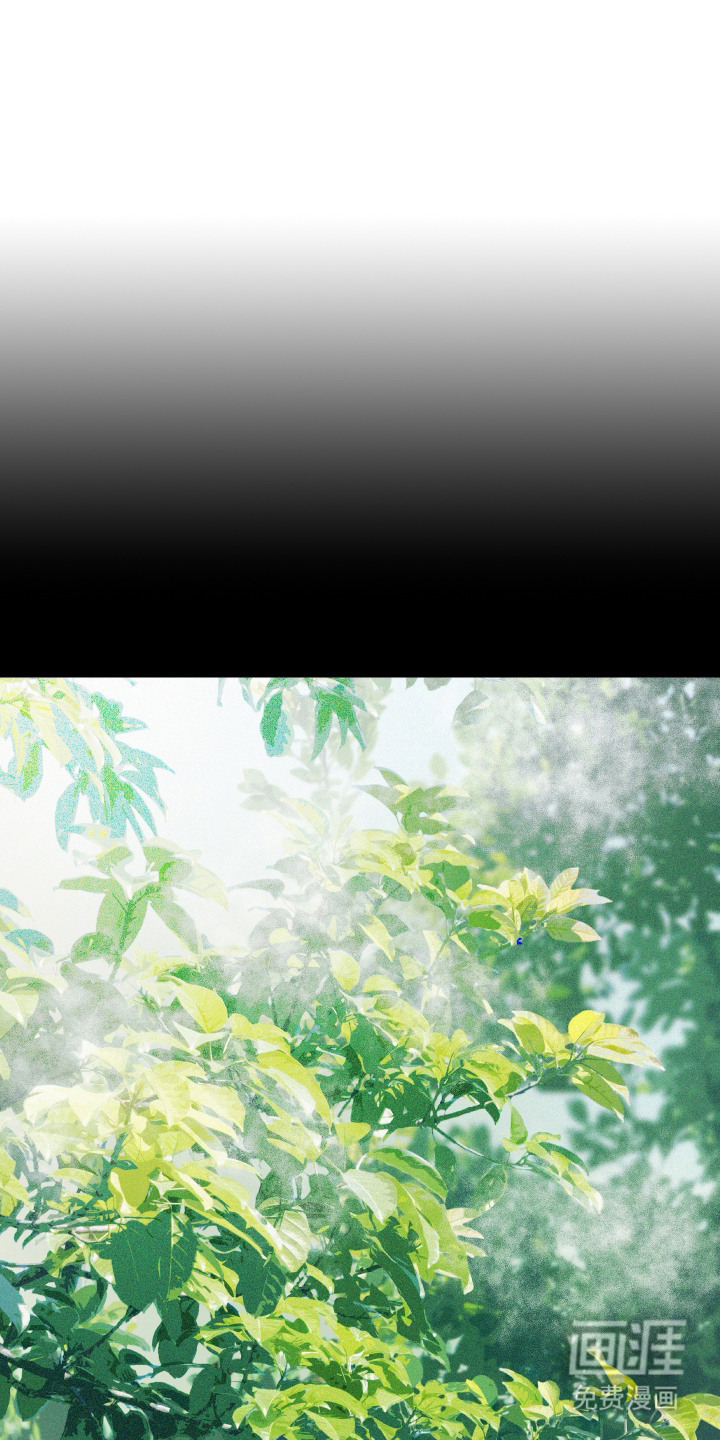 花落人未散 第2章：变暖和 第1页