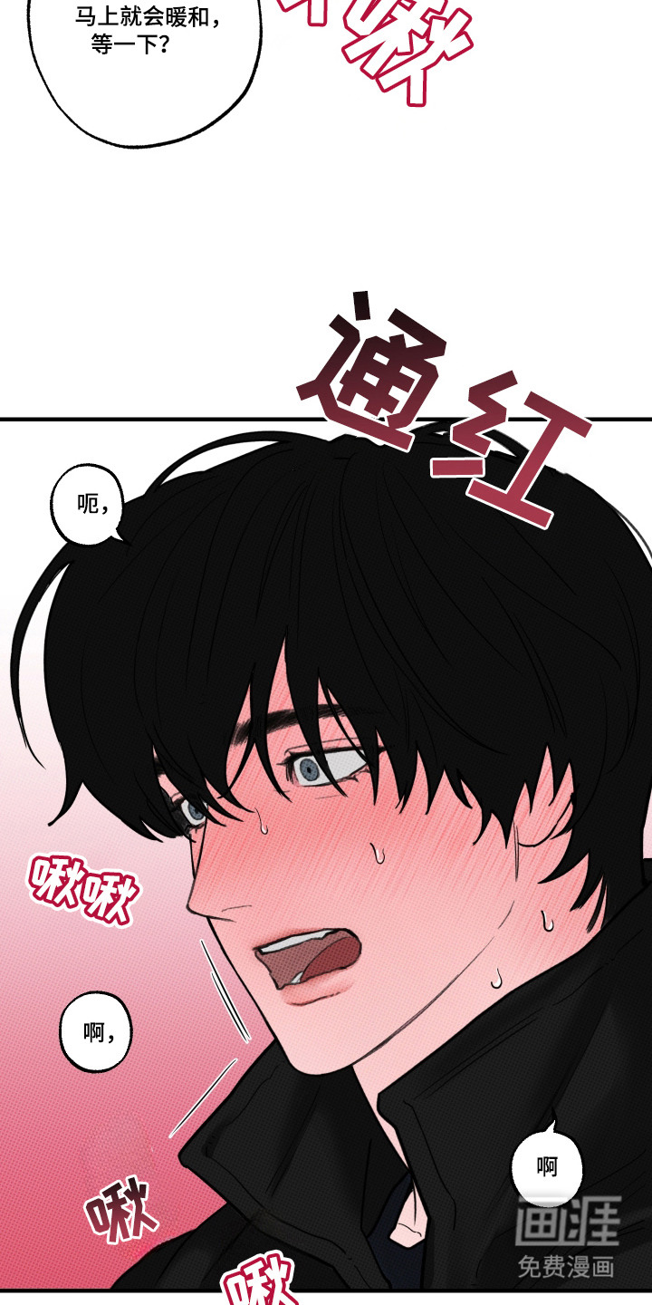 花落人未散 第2章：变暖和 第11页