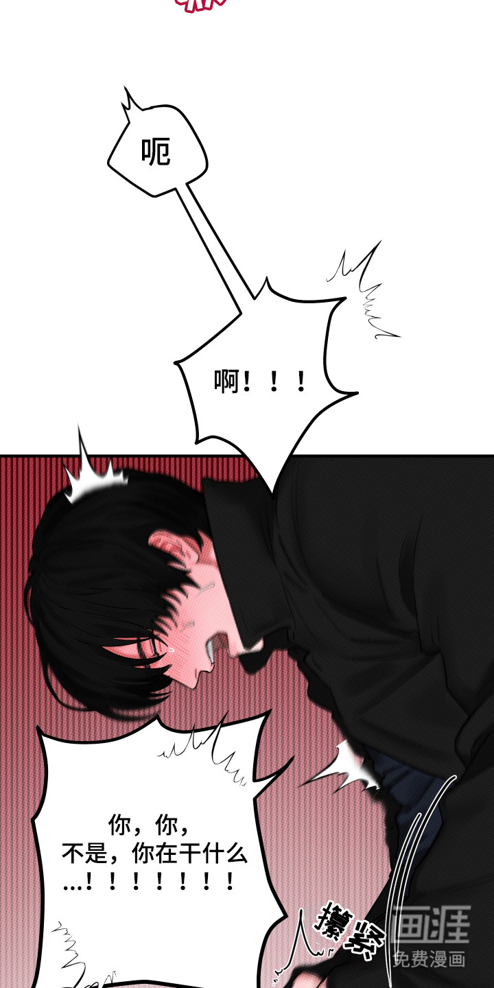 花落人未散 第2章：变暖和 第12页