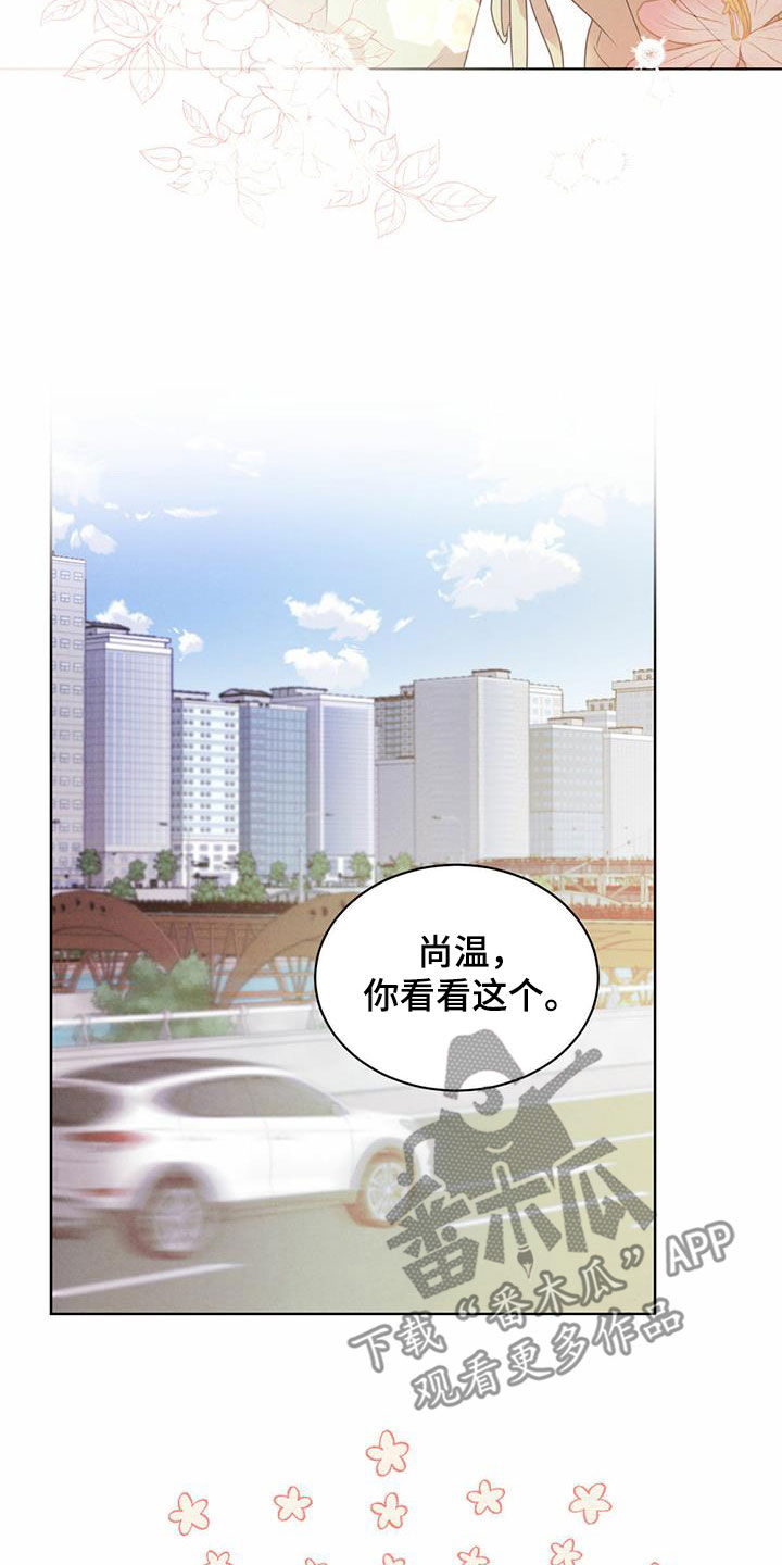 柳树浪漫史 第115话 第13页