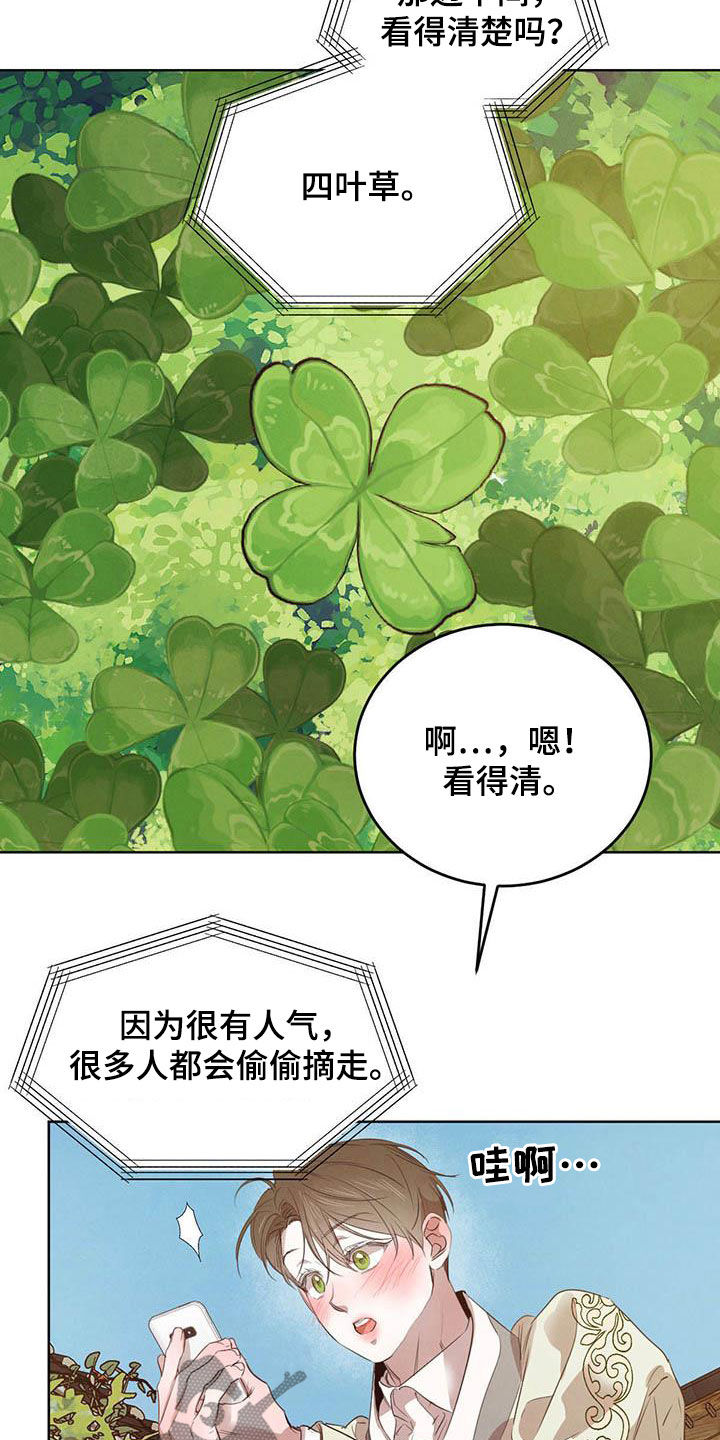 柳树浪漫史 第104话 第16页