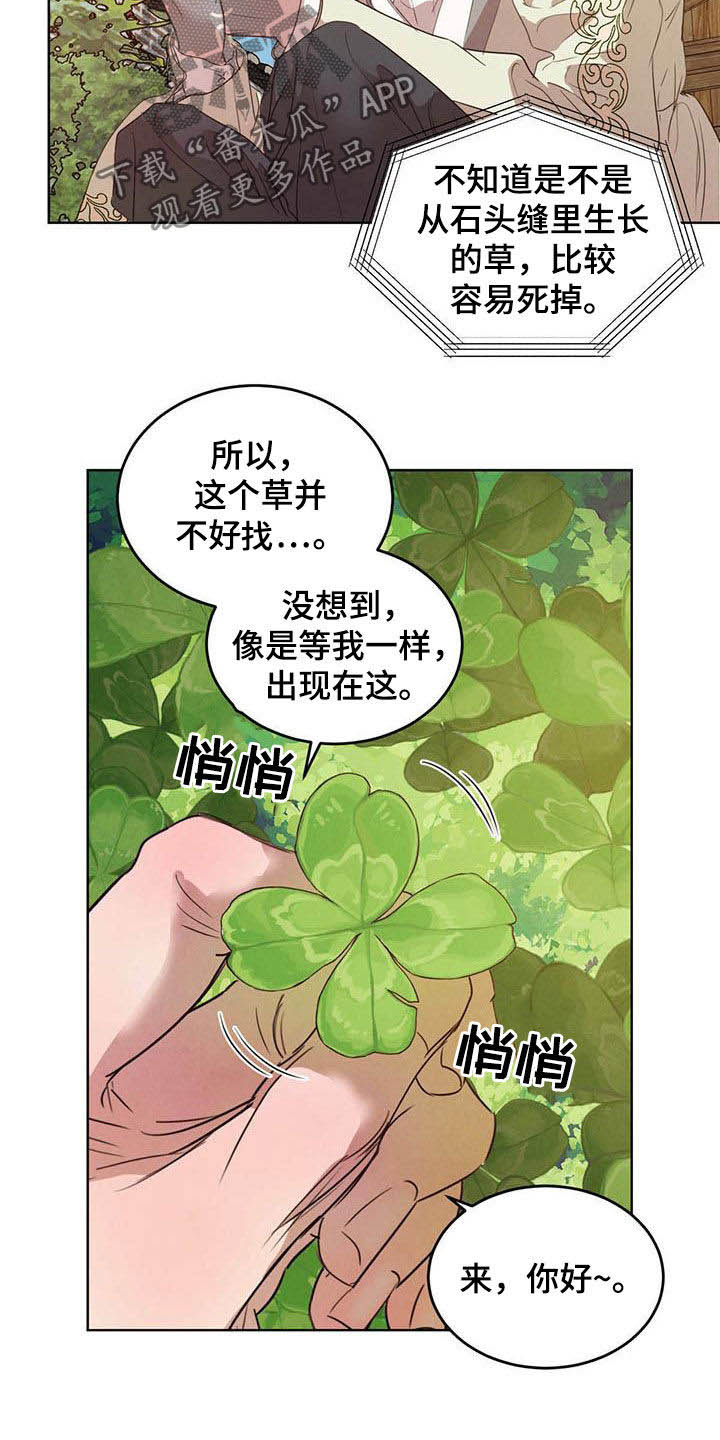 柳树浪漫史 第104话 第17页