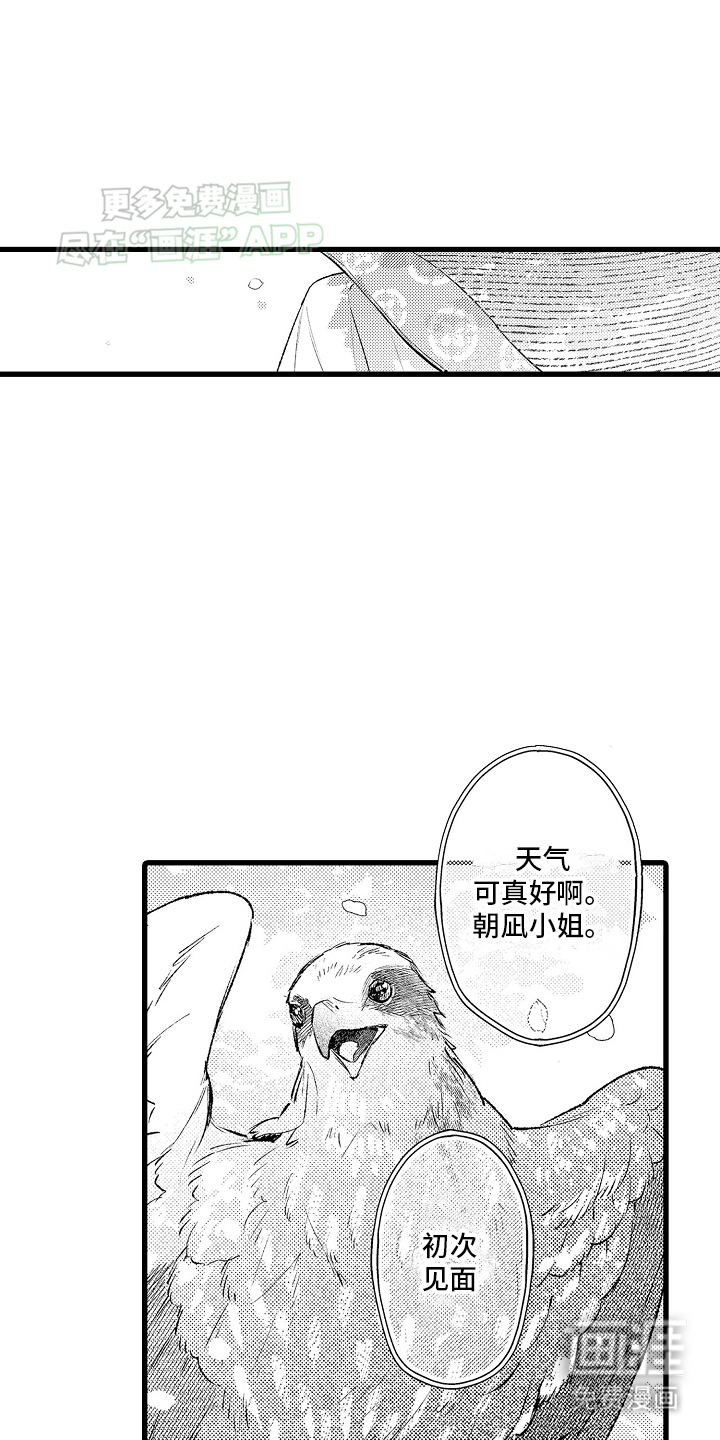 鹰王宠溺 第9话 第5页