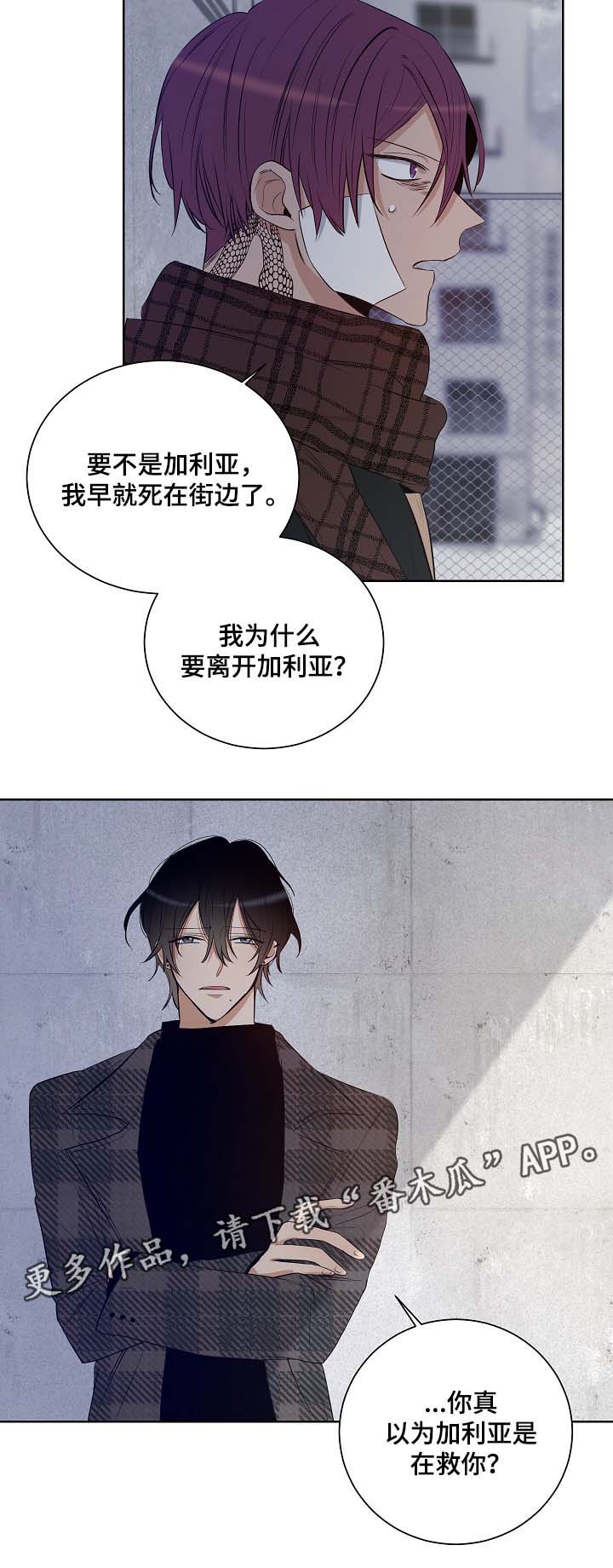 连环圈套 第33话 第4页