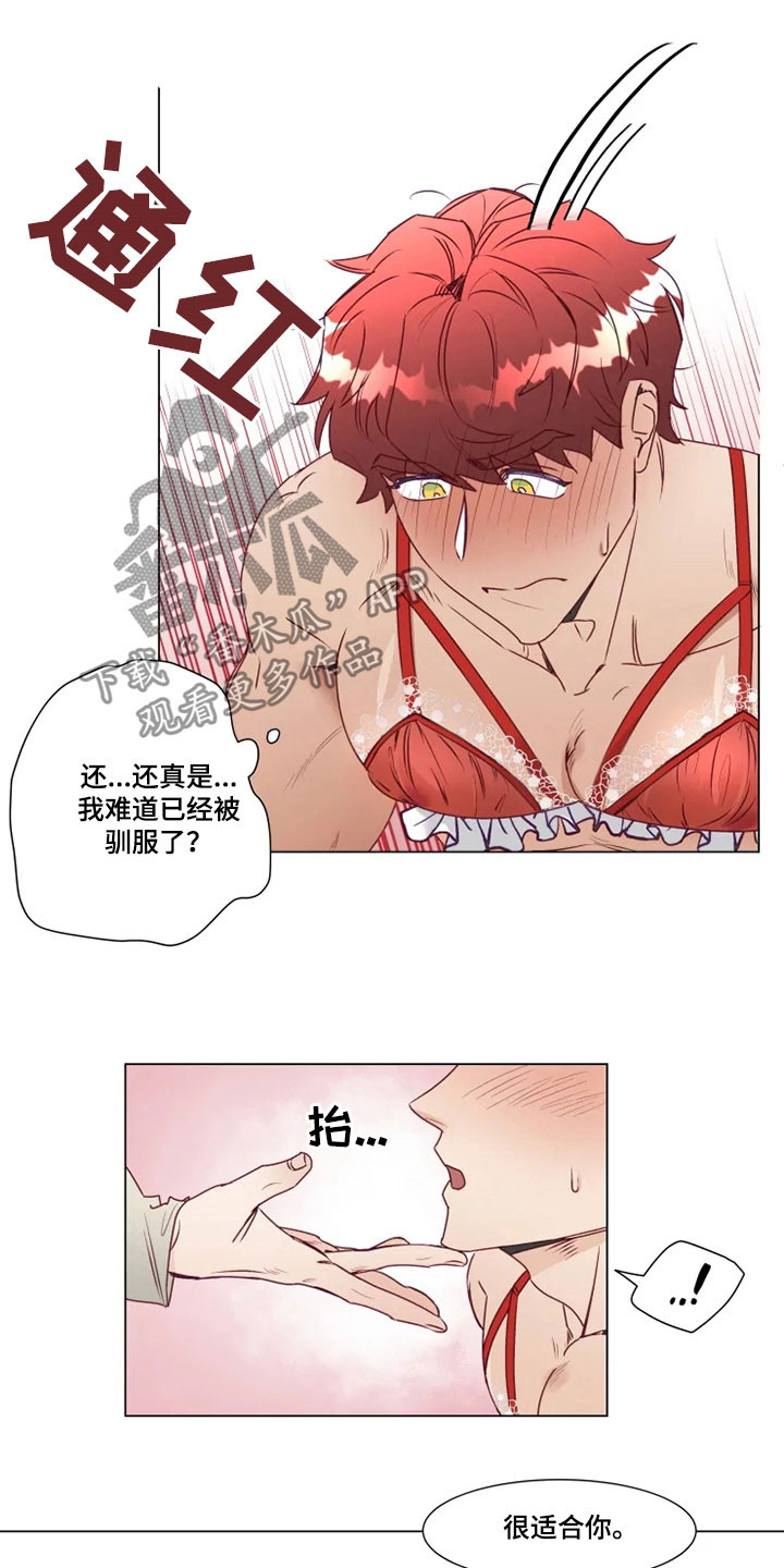 神的祭品先生 第14话 第13页