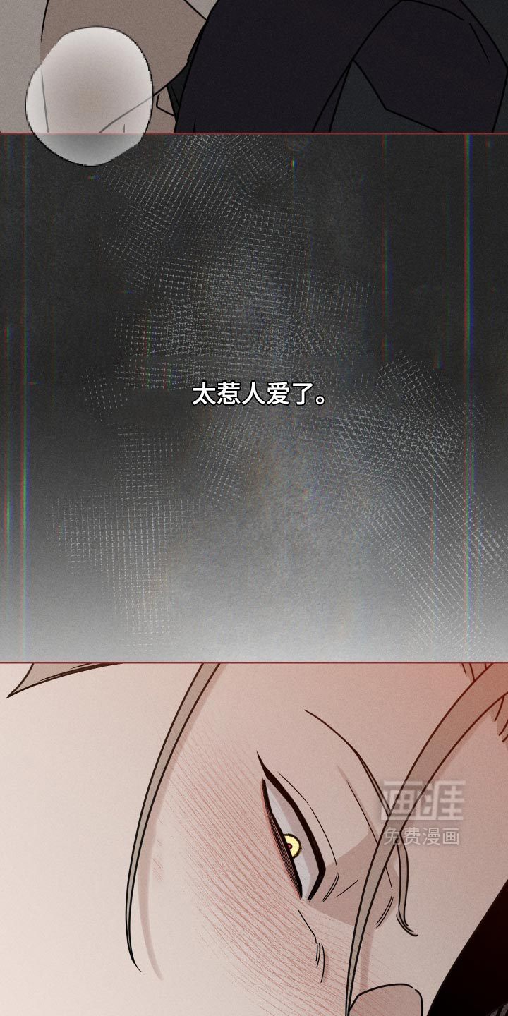 黑道规则 第42话 第5页