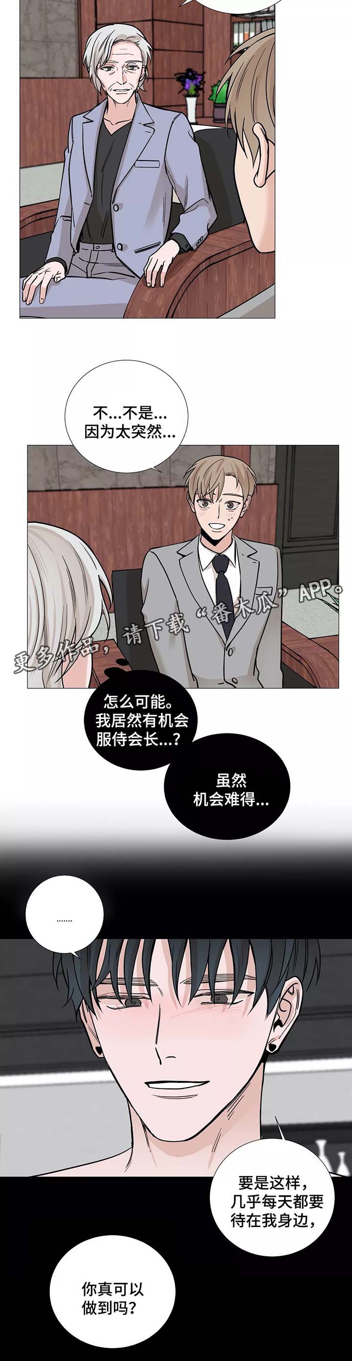 秘官 第52章：【第一季完结】辅佐的人 第3页