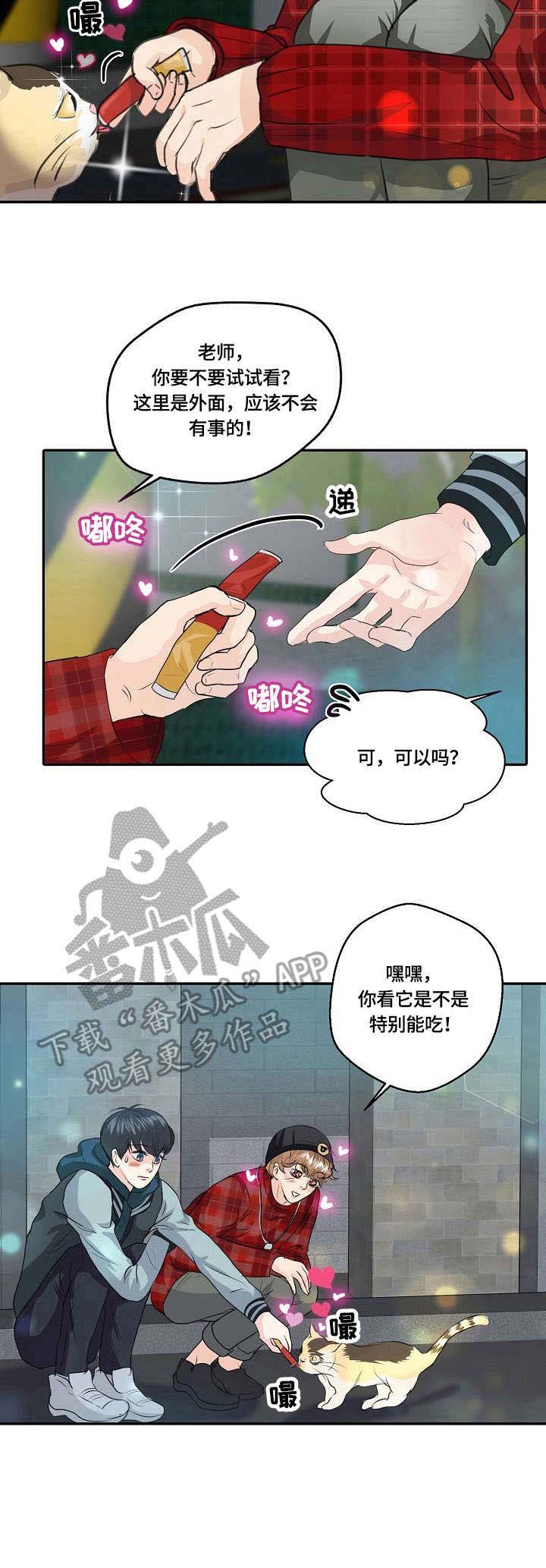 最佳助手 第25章：猫老大 第11页