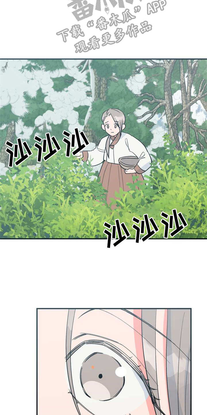 梅中香 第21章：采摘 第3页