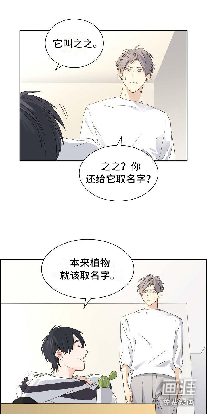 单向箭头 第18章：取名字 第12页