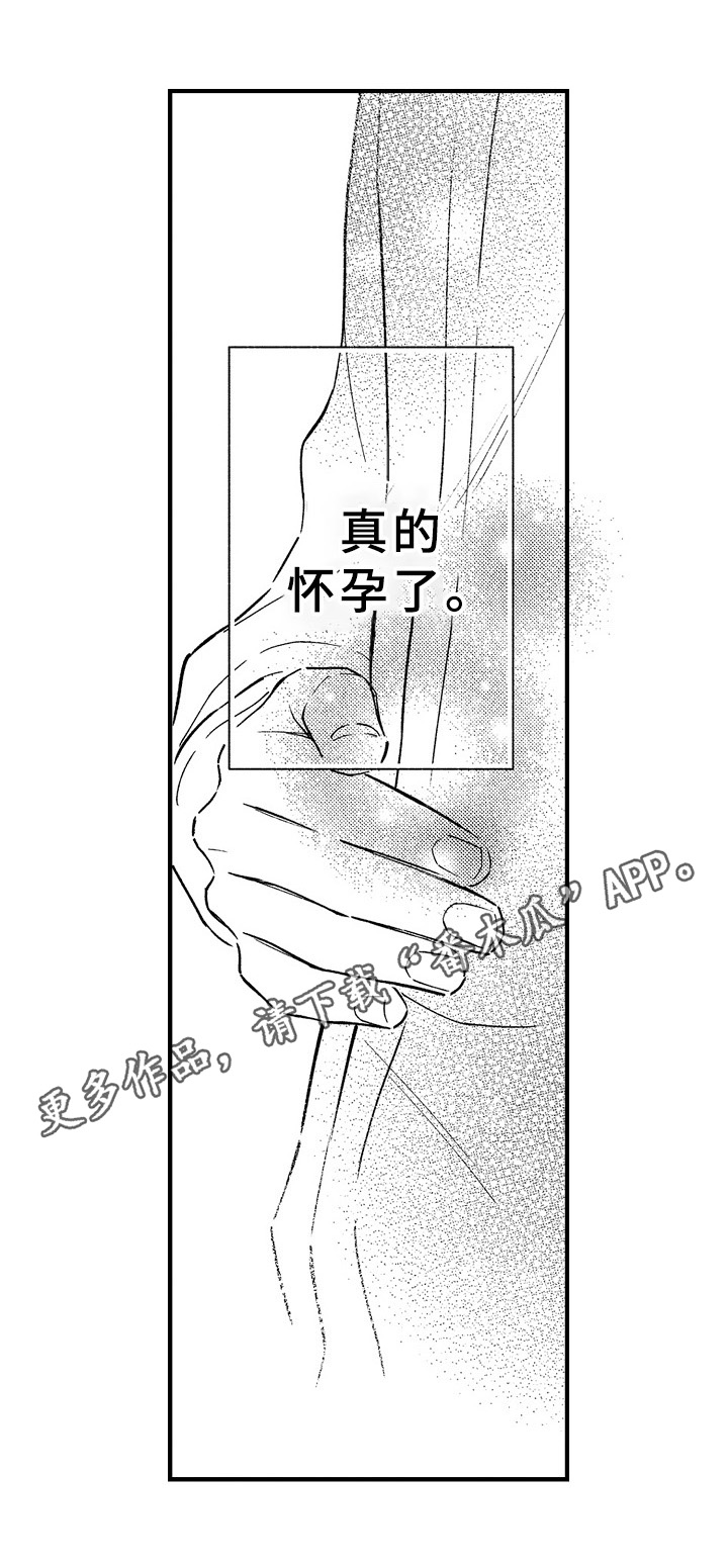欧米伽综合症 第29章：怀孕 第13页