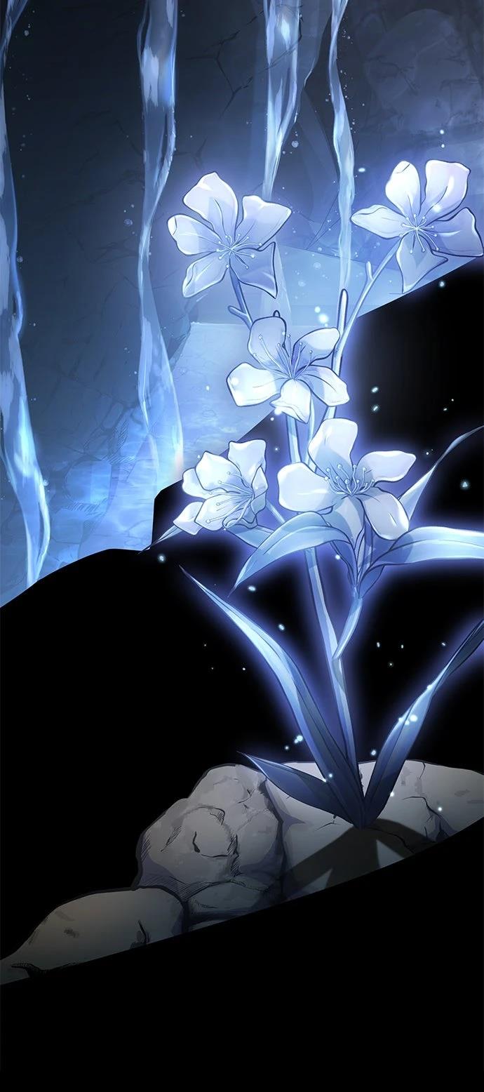 我不读课本，只读预言书 第15话 第62页