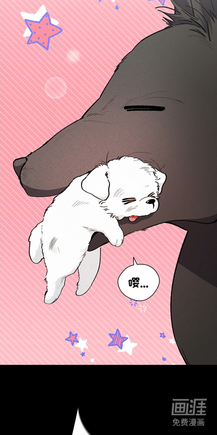 小白狗奇遇记 第1章：做噩梦 第13页