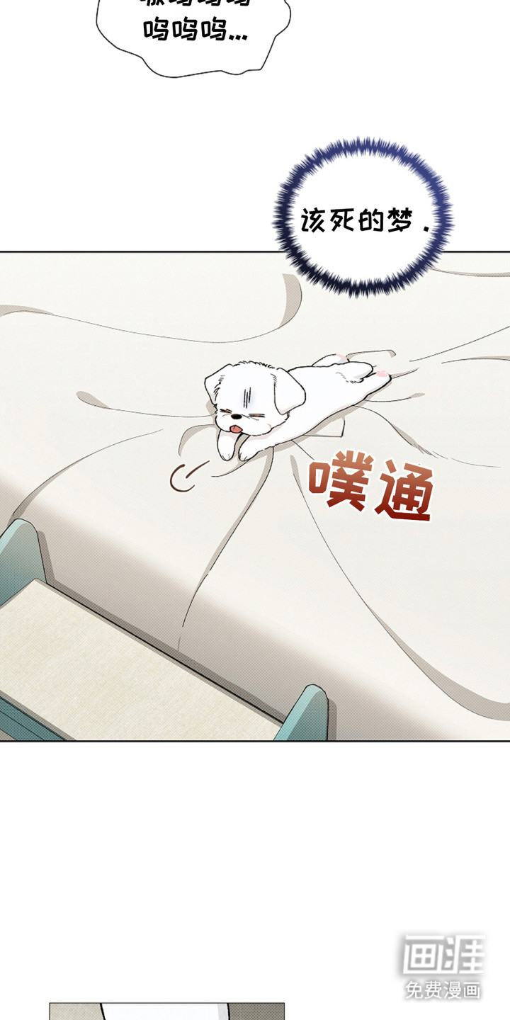 小白狗奇遇记 第1章：做噩梦 第17页