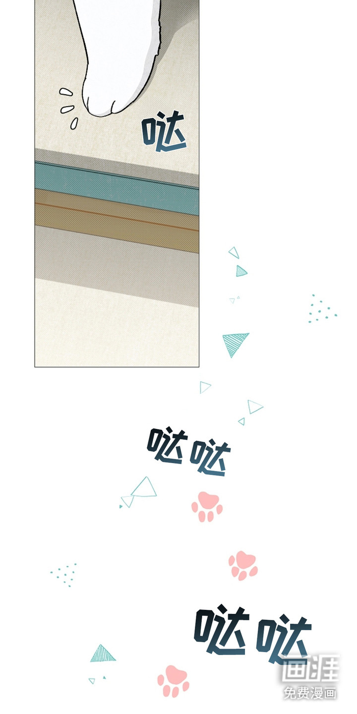 小白狗奇遇记 第1章：做噩梦 第18页