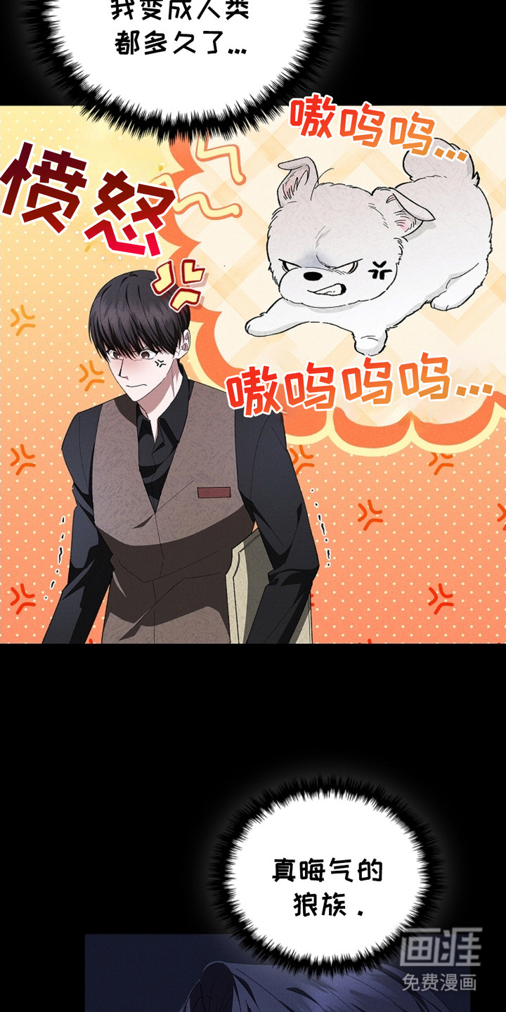 小白狗奇遇记 第2章：闯祸了 第14页