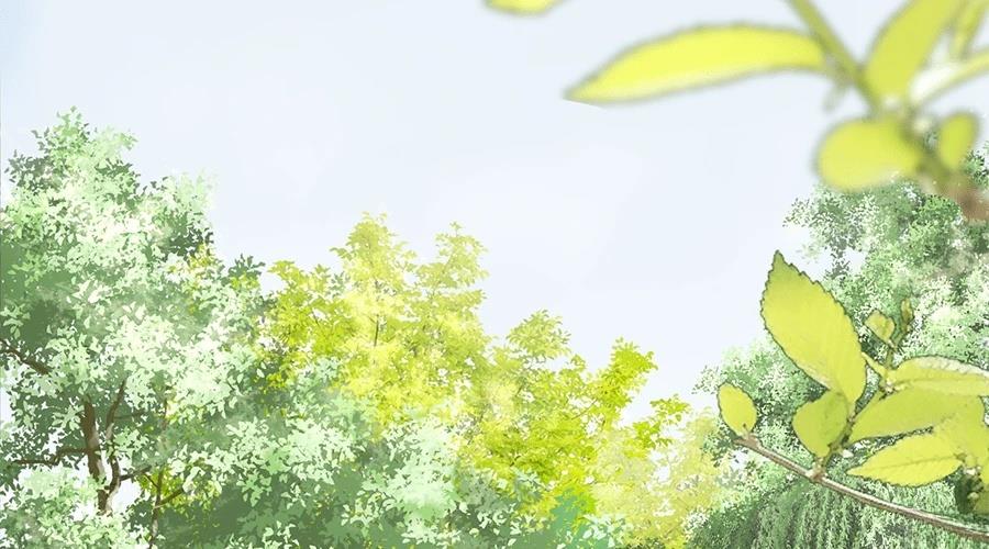 柠檬树之森 第1话 第13页