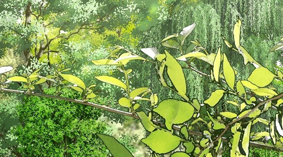 柠檬树之森 第1话 第14页