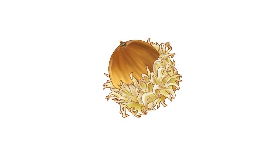 柠檬树之森 第4话 第104页