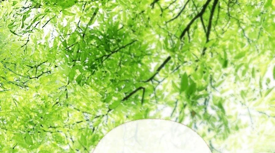 柠檬树之森 第4话 第339页