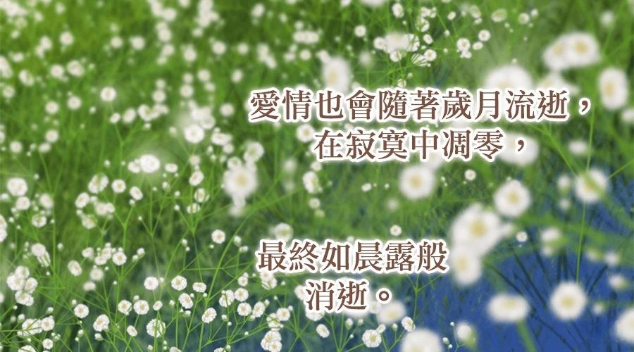 柠檬树之森 第7话 第345页