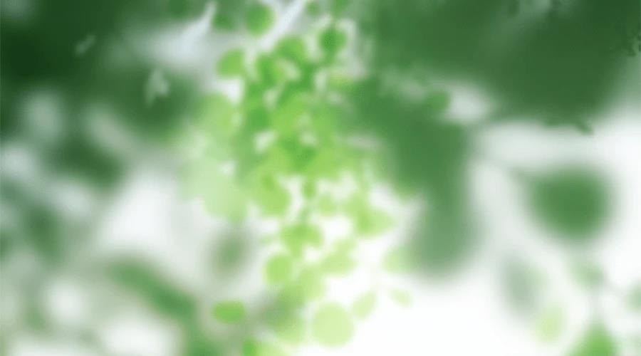 柠檬树之森 第7话 第366页