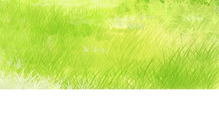 柠檬树之森 第8话 第117页