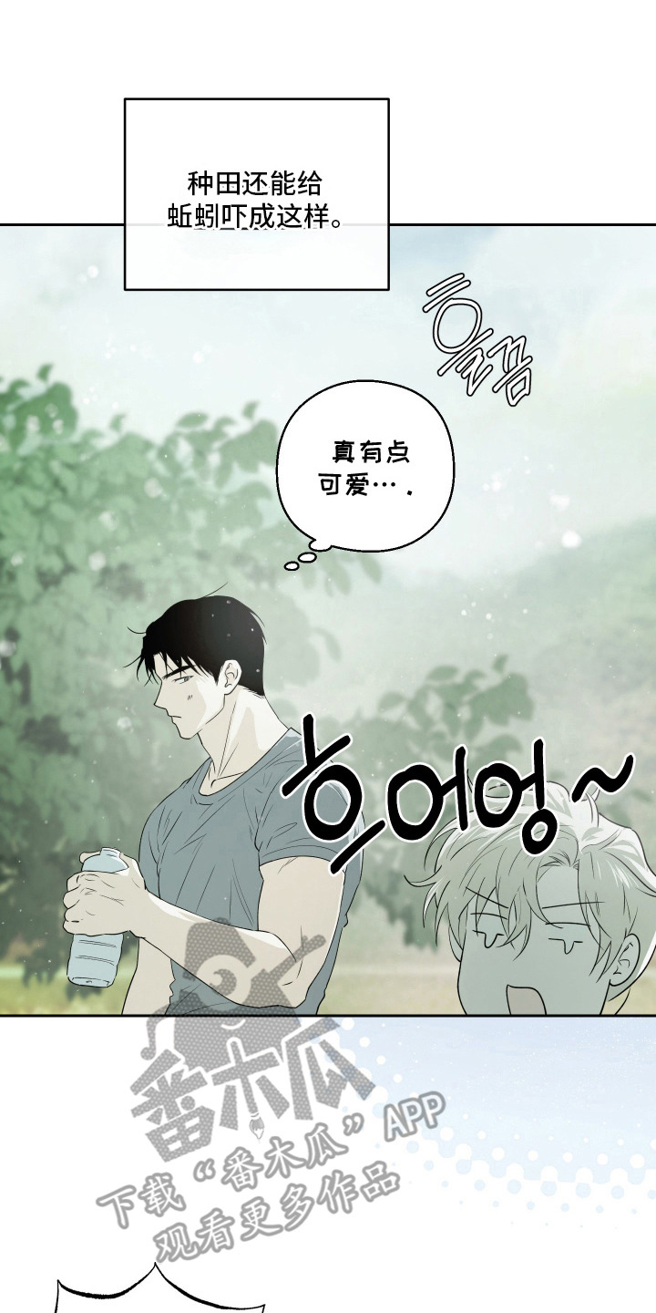 我们的百日田 第17话 第2页
