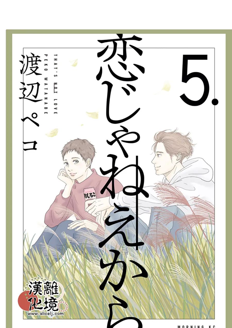 并非爱情 第33话 第12页