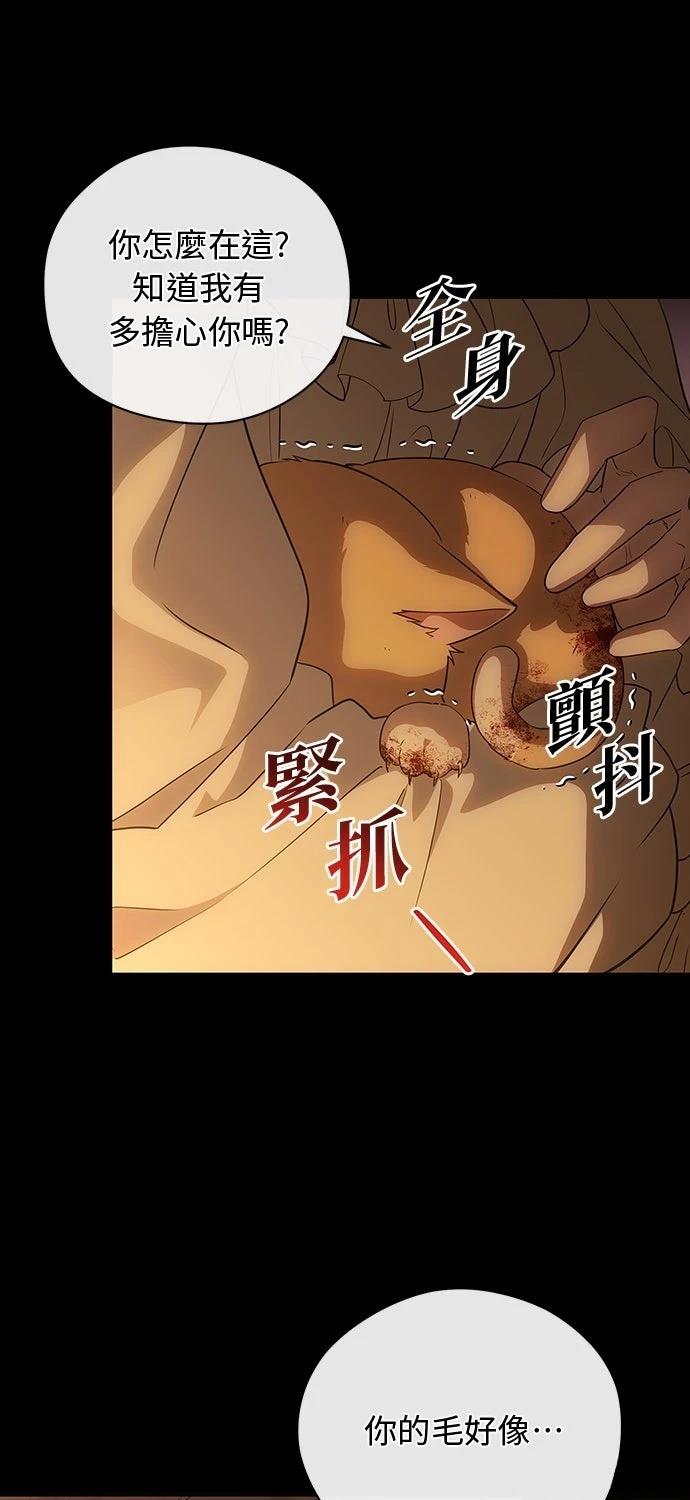 后院盛开的紫罗兰 第57话 第41页