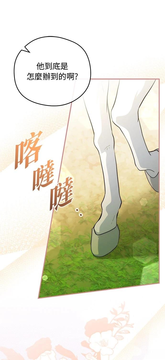 后院盛开的紫罗兰 第70话 第67页