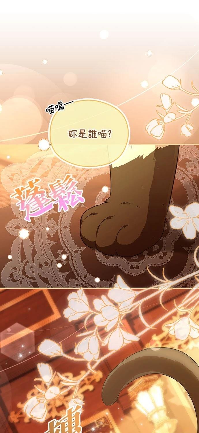 后院盛开的紫罗兰 第72话 第55页