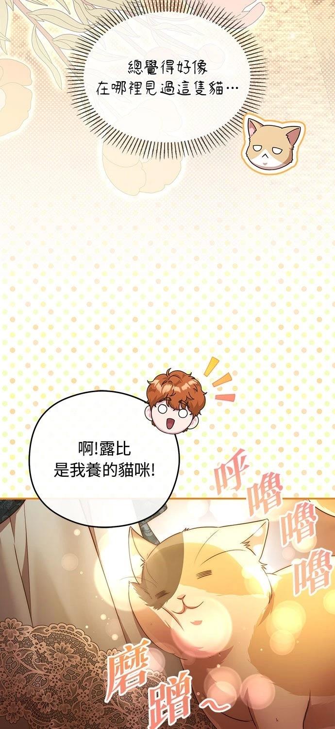 后院盛开的紫罗兰 第72话 第58页