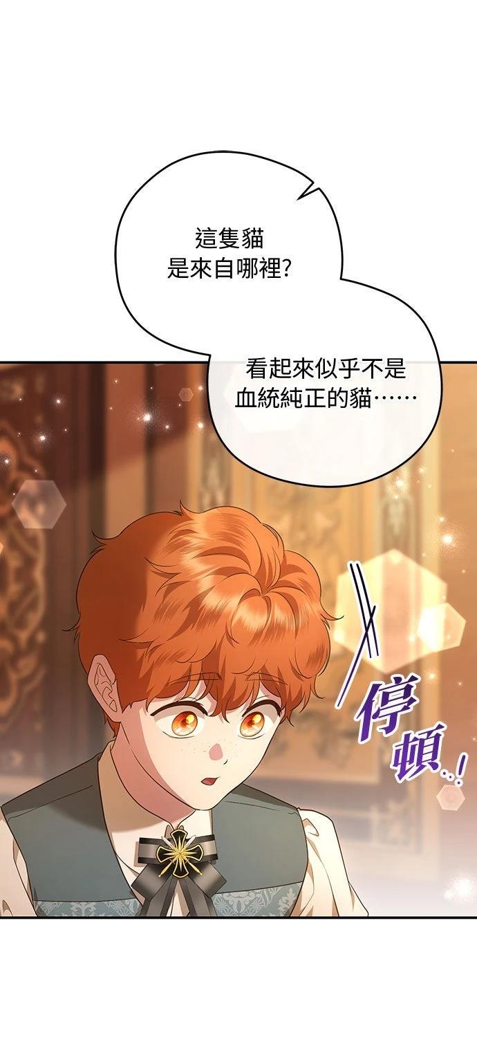 后院盛开的紫罗兰 第72话 第64页