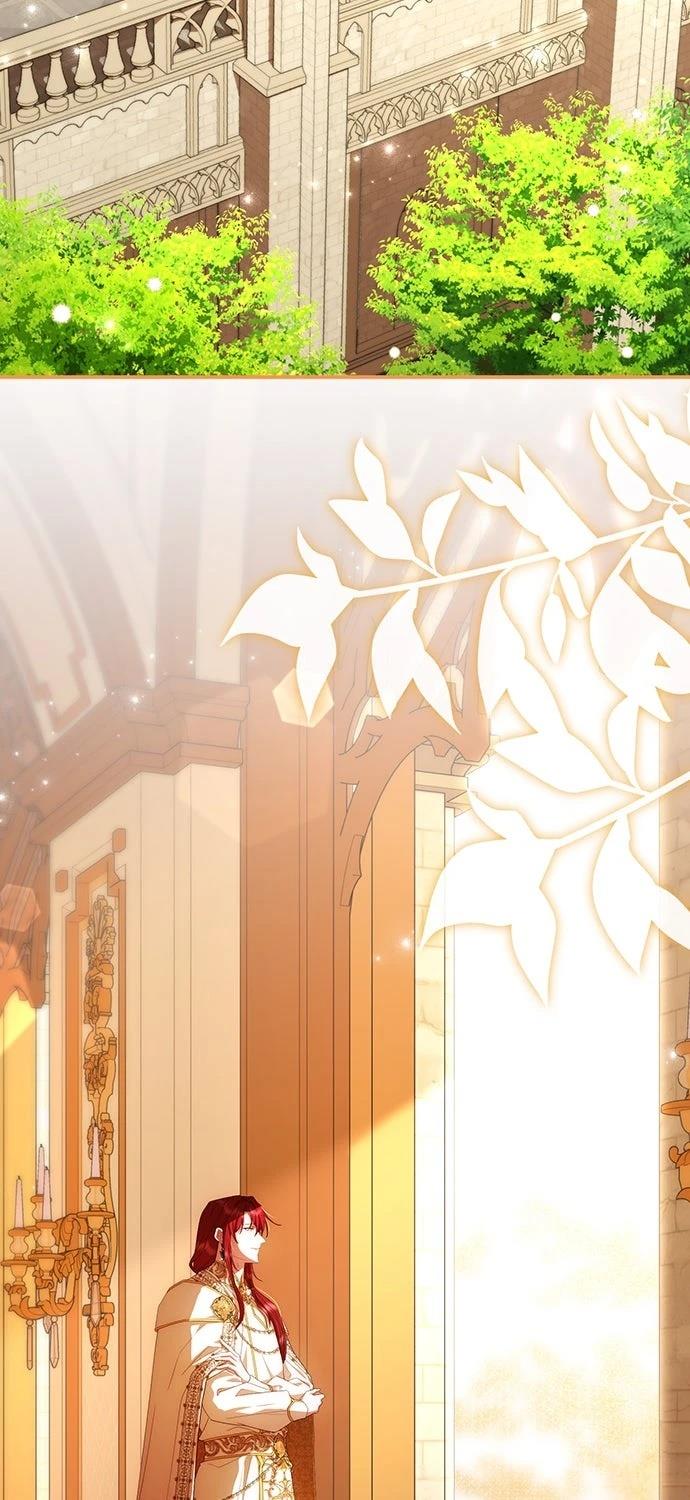 后院盛开的紫罗兰 第75话 第2页