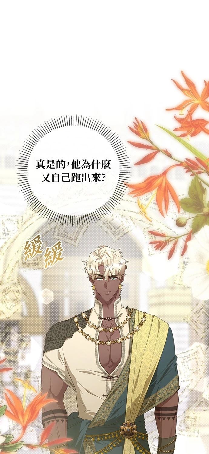 后院盛开的紫罗兰 第76话 第51页