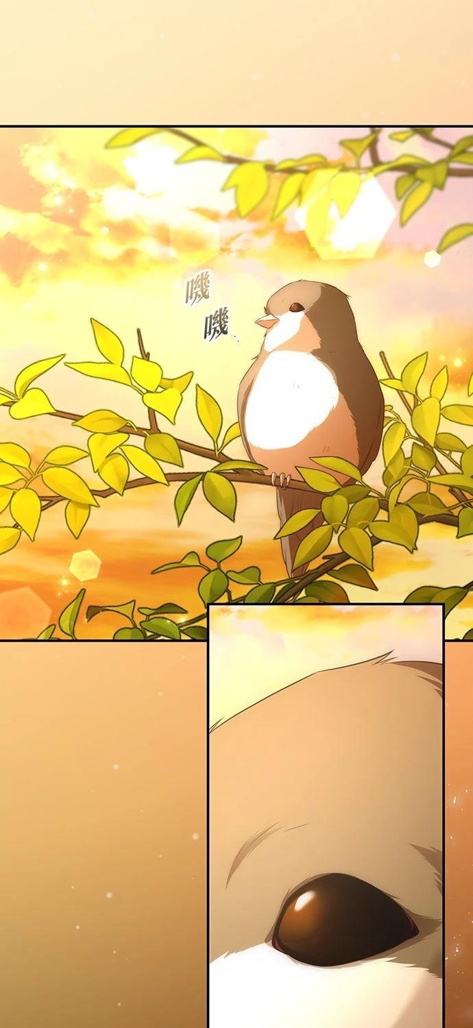后院盛开的紫罗兰 第77话 第38页