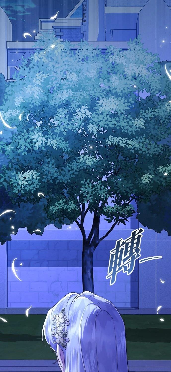 后院盛开的紫罗兰 第81话 第29页