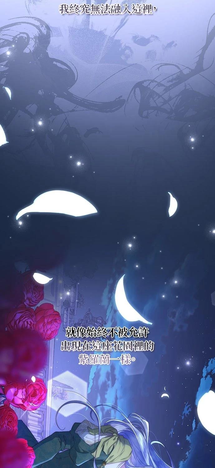 后院盛开的紫罗兰 第83话 第37页