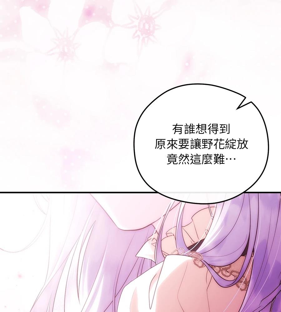 后院盛开的紫罗兰 第91话 第112页