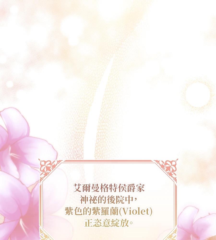 后院盛开的紫罗兰 第91话 第163页