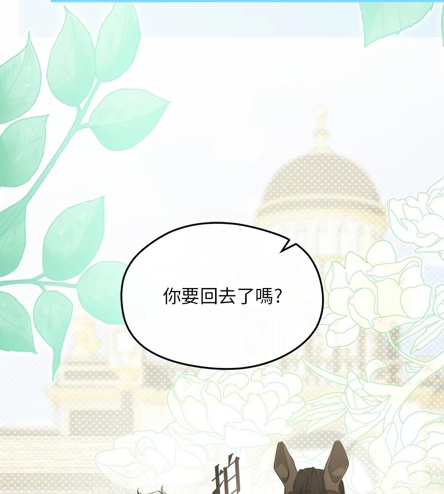 后院盛开的紫罗兰 第91话 第21页