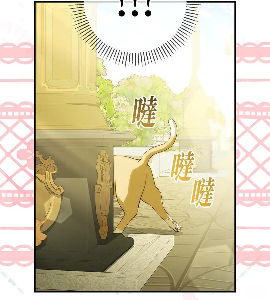 后院盛开的紫罗兰 第91话 第72页