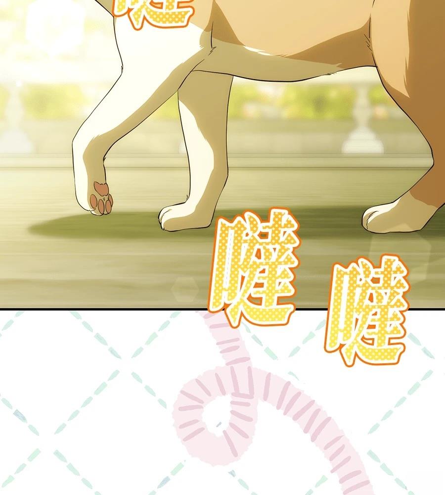 后院盛开的紫罗兰 第91话 第74页