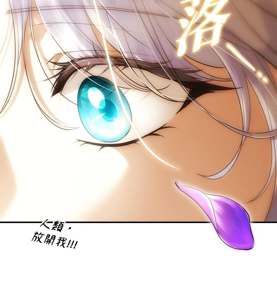 后院盛开的紫罗兰 第91话 第80页